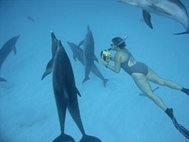 Дениз Херцинг изучает поведение дельфинов. С сайта www.eduardorroch.com