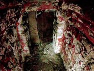 Археологи смогли увидеть то, что находится внутри захоронения майянского царя