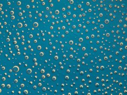 Пузырьки воды при 40-кратном увеличении, снятые с помощью освещения по Рейнбергу