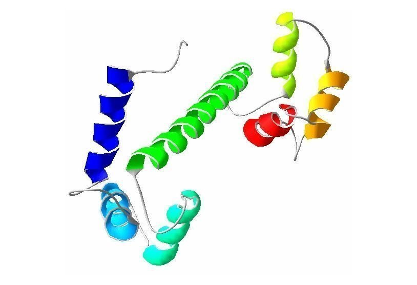 3D-структура кальмодулина