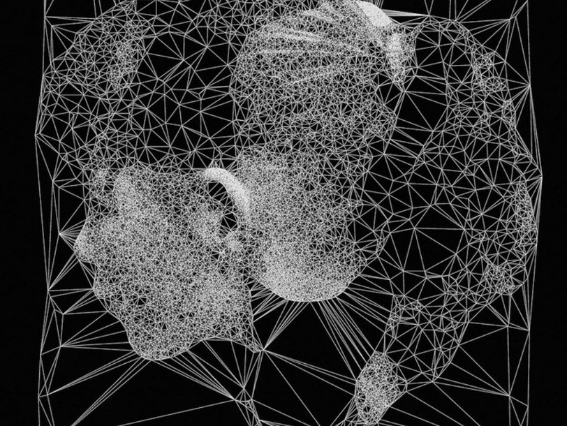 Generative portraits (made with Processing) by Diana Lange