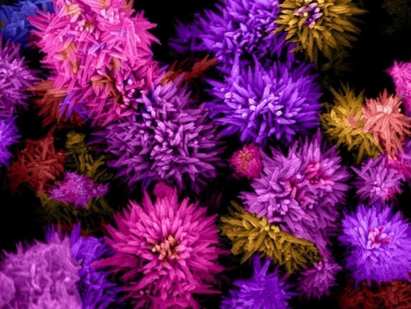 «Наноцветы» из оксида олова с частицами цинка
