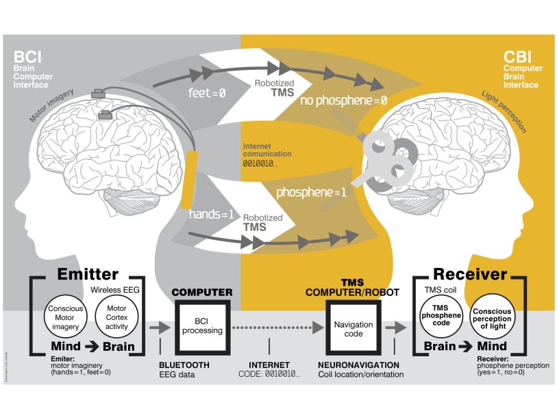 Схема «передачи мыслей» с помощью ЭЭГ и Интернет-соединения