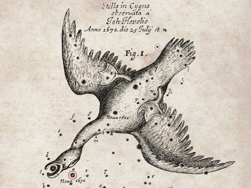 Новая Лисички рядом с созвездием Лебедя (рисунок Гевелия)