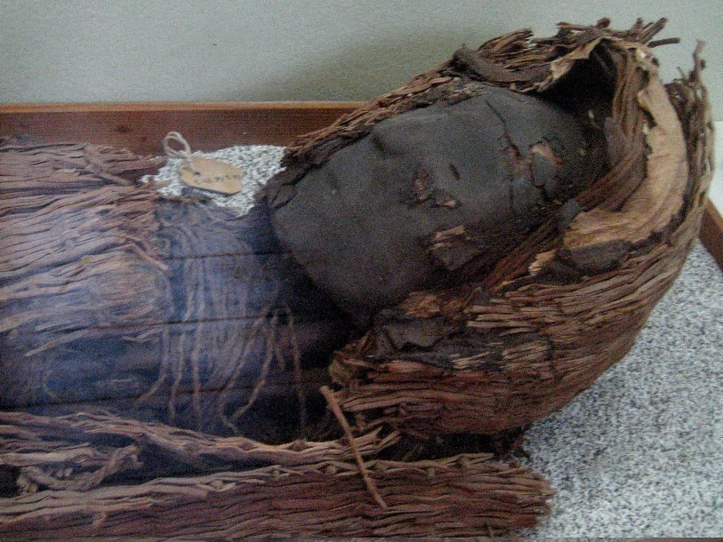 Одна из мумий