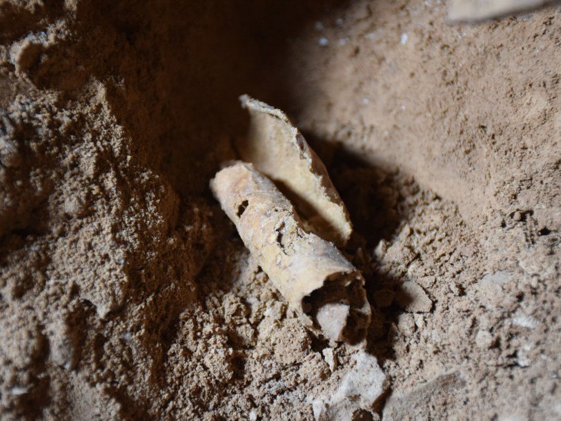 Лист пергамента, найденный в пещере