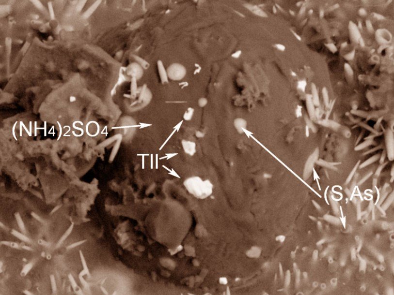 Зерна наталиямаликита (TlI) на маскагните (NH4)2SO4