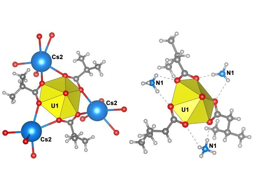 Фрагменты структур кристаллов двух изокарбоксилатных комплексов уранила