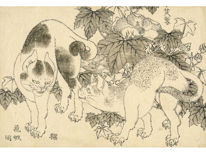 Коты и гибискус. Хокусай, 1829