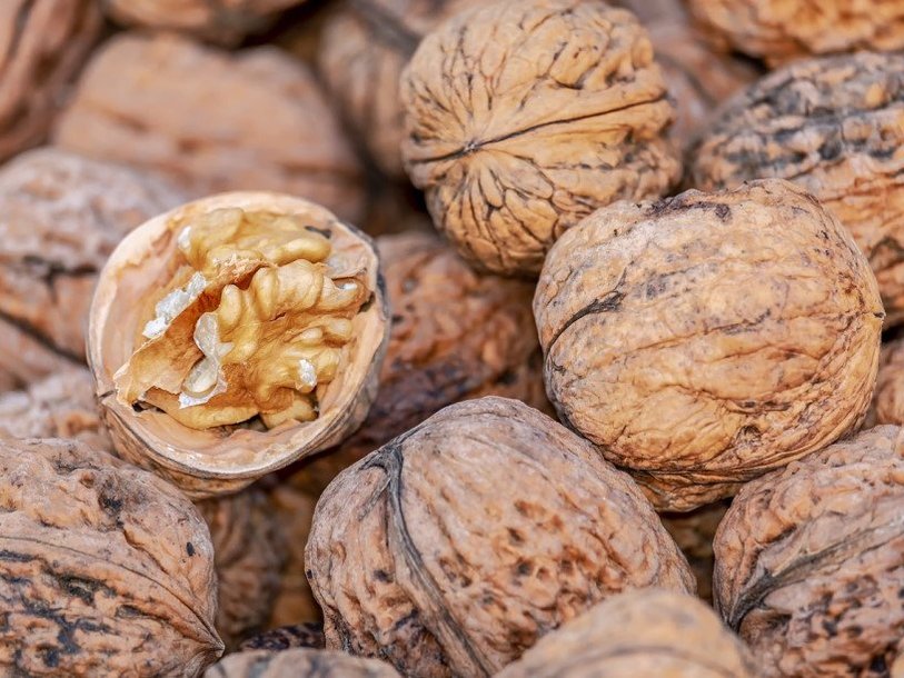 Грибы, выделяющие афлатоксин-В1, естественным образом содержатся во многих продуктах питания, в том числе орехах