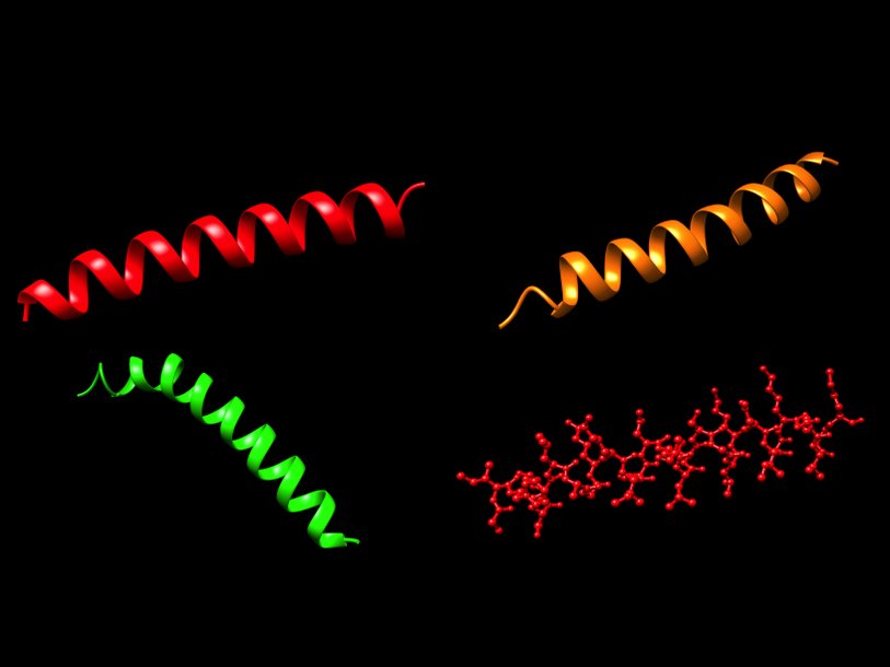 Трехмерные структуры изученных пептидов