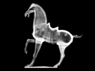 Рентгеновский снимок скульптуры лошади