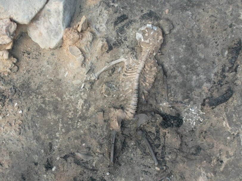 Скелет из Тавшанлы-Хёйюк