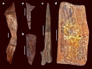 Деревянные орудия, найденные у водопада Каламбо